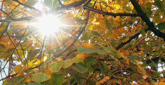 Danas sunčano i toplo, temperatura do 24 stepena