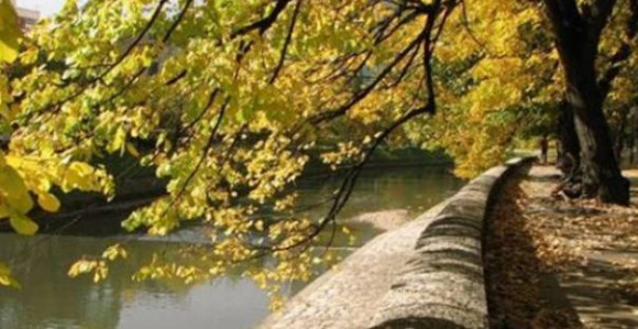 I danas sunčano i toplo, temperatura do 24 stepena