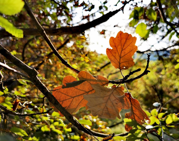 Jutro hladno, danas sunčano i toplije vrijeme