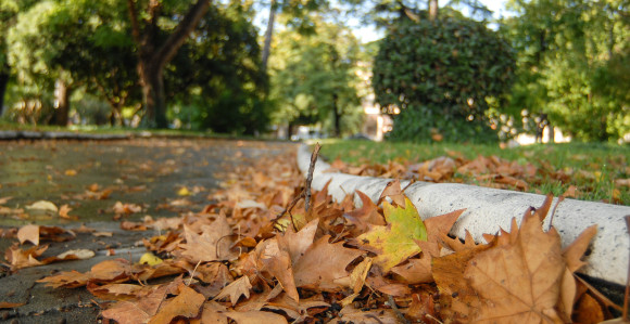 Danas sunčano i toplo vrijeme za ovo doba godine
