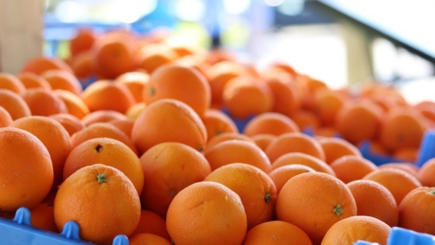 Zabranjen uvoz narandži iz Južne Afrike u Srpsku