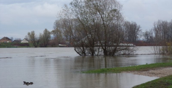 Vodostaj rijeke Save kod Srpca i dalje raste