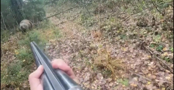 Nevjerovatan snimak iz Rusije: Susret sa medvjedom