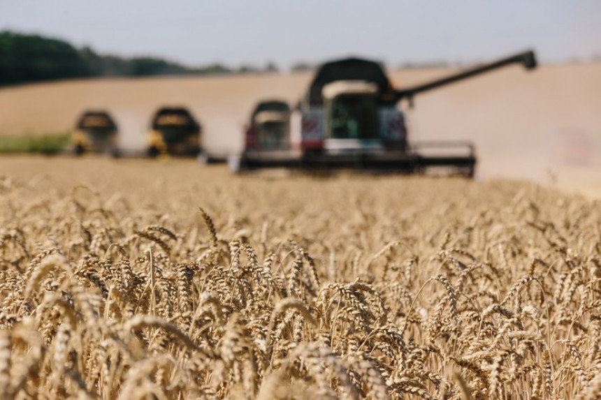 Cijene žita se vraćaju na nivo prije sukoba u UKR