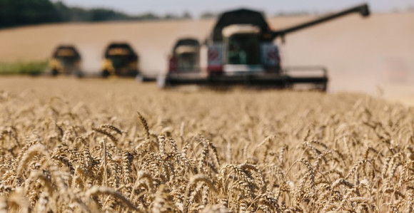 Cijene žita se vraćaju na nivo prije sukoba u UKR