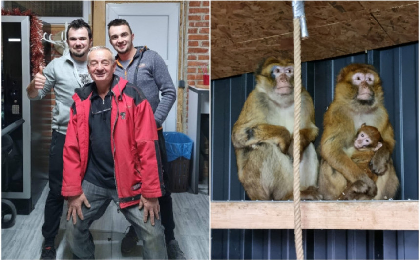 Prijedor: Majmuni uhvaćeni i vraćeni u sigurno sklonište