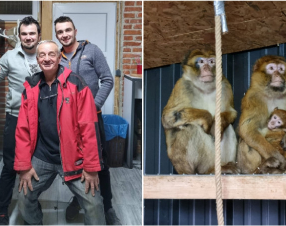Prijedor: Majmuni uhvaćeni i vraćeni u sigurno sklonište