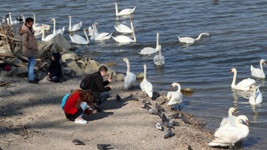 Рекордно топле новогодишње температуре