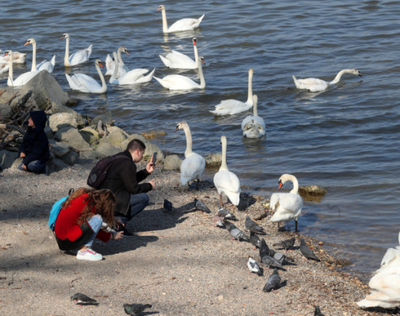 Рекордно топле новогодишње температуре