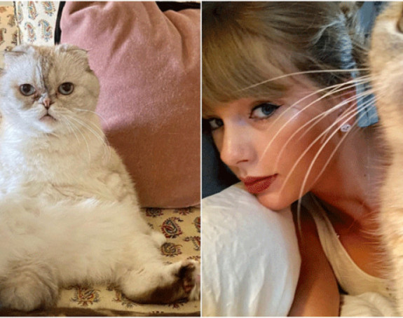 Mačka Tejlor Svift – odlično zarađuje, “teška” je 97 miliona dolara
