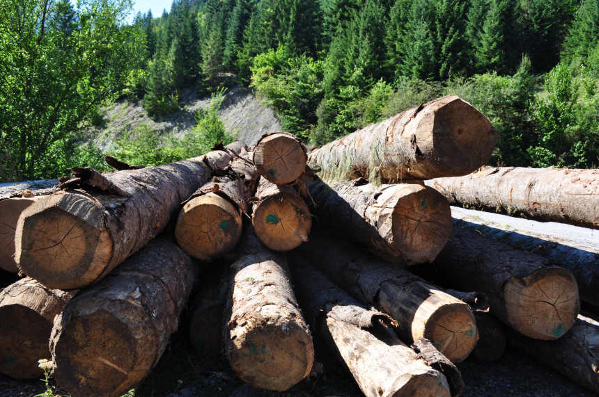 Шуме Српске узимају вишемилионски кредит за плаћање пореског дуга