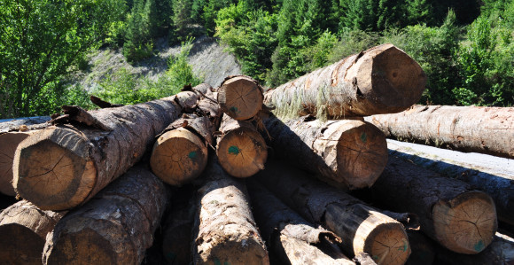 Šume Srpske uzimaju višemilionski kredit za plaćanje poreskog duga
