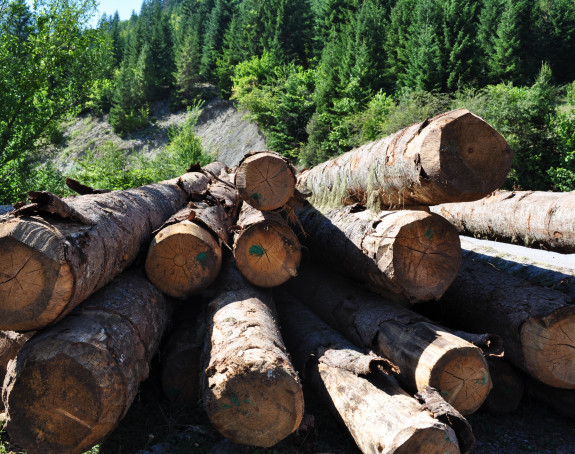 Šume Srpske uzimaju višemilionski kredit za plaćanje poreskog duga