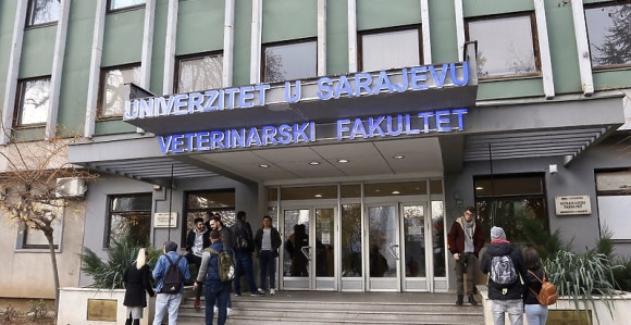 Sarajevo: Studenti se zarazili Q groznicom