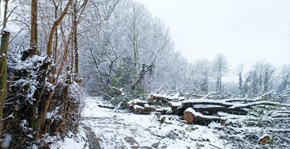 Kako je policajac zaradio pola miliona maraka?!