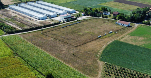 Klub rasformiran, drugom zabranjeno na stadion