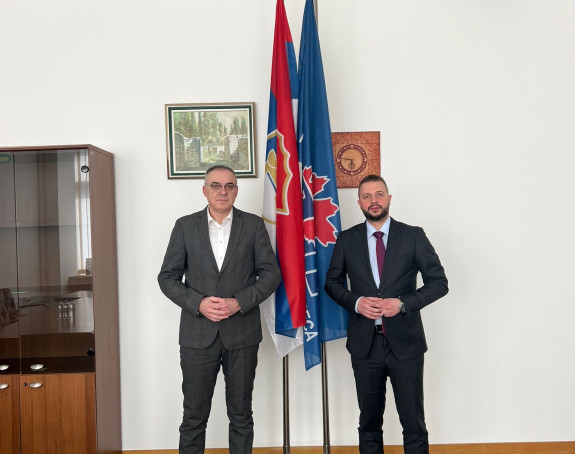 Миличевић и Нешковић на конференцији о енергетској ефикасности