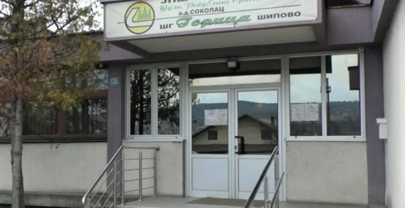 Pokradena polovina šumskog bogatstva Šipova