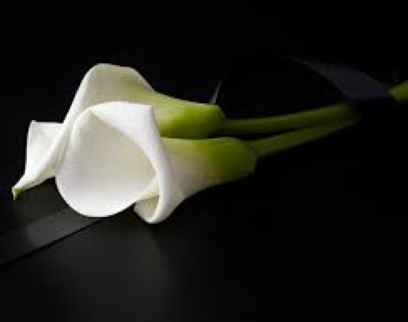 Ruski policijski general izvršio samoubistvo