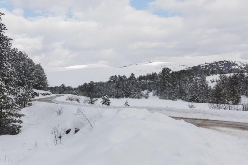 Hit snimak sa Zlatibora: Svinja uletjela na stazu