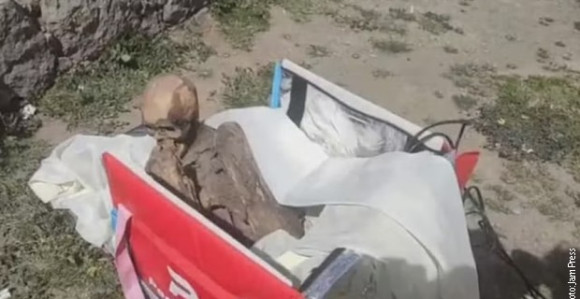 Dostavljač nosio mumiju staru 800 godina u frižider torbi da je pokaže prijateljima!
