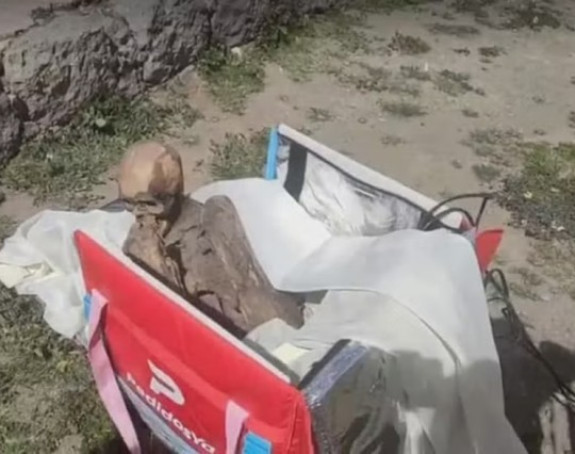 Dostavljač nosio mumiju staru 800 godina u frižider torbi da je pokaže prijateljima!