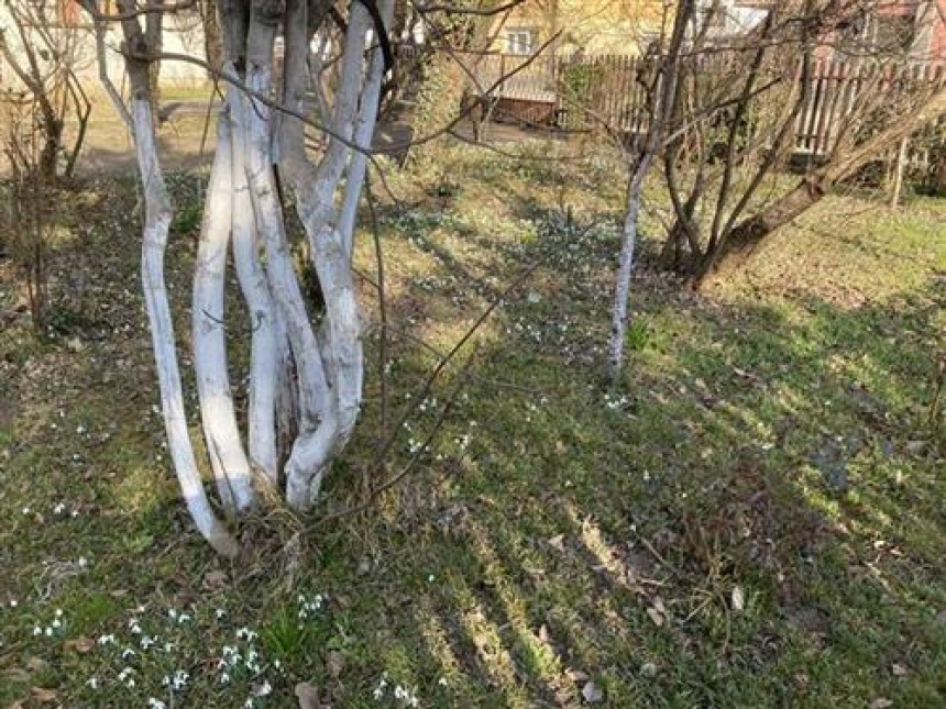 Tokom dana biće vjetrovito, ali toplo vrijeme