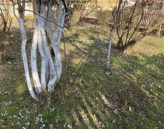 Промјенљиво облачно и вјетровито вријеме
