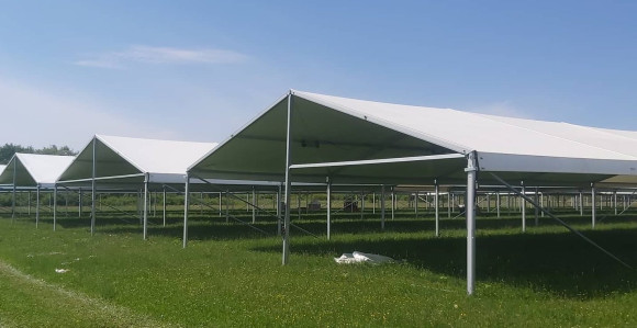 Владини корона уговори још под велом тајни