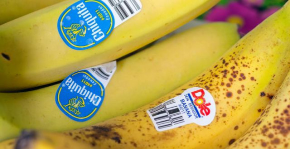 Ispravka: Evo šta znače ove naljepnice na voću?