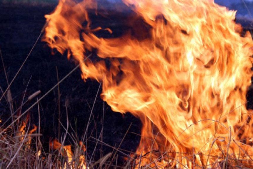 Muškarac pronađen mrtav na njivi kod Novog Grada