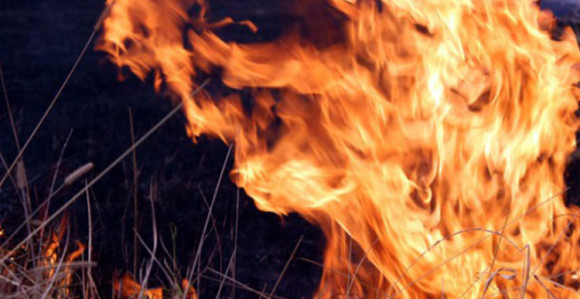 Muškarac pronađen mrtav na njivi kod Novog Grada