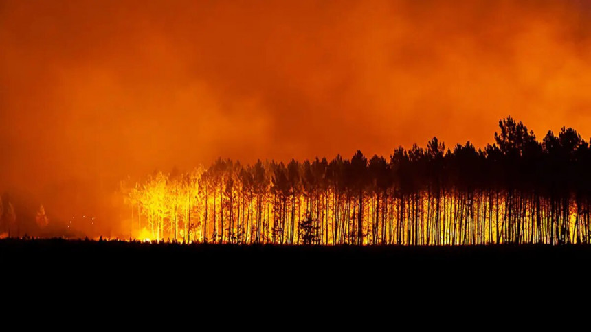 ФР: Шумски пожар, који је избио прије 8 месеци још тиња