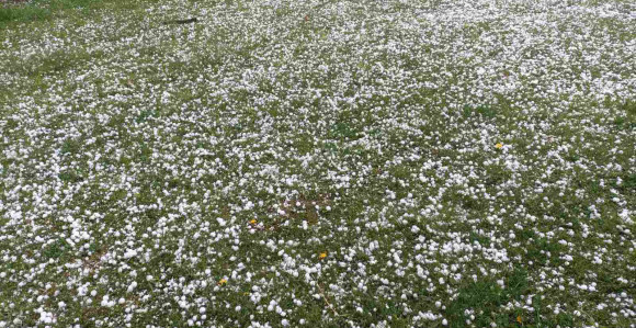 Grad pogodio teslićka sela i opštinu Stanare