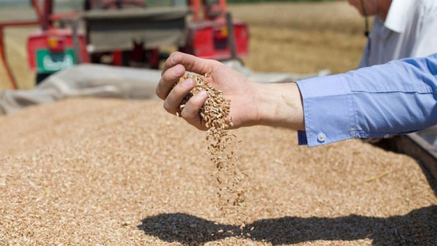 Држава треба да се припреми за откуп вишкова пшенице