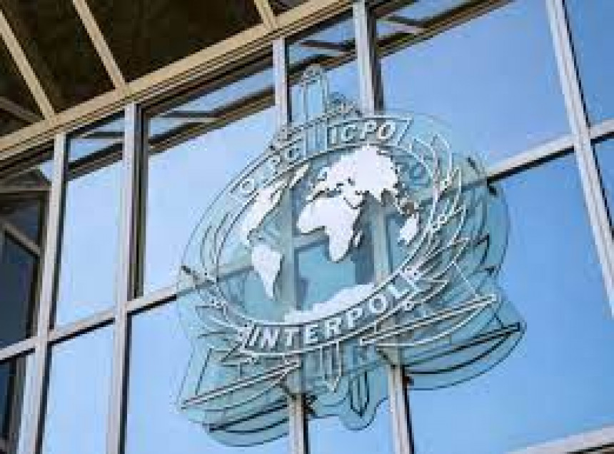 Interpol oduzeo oružje i drogu vrijednu 5,7 mlrd. $
