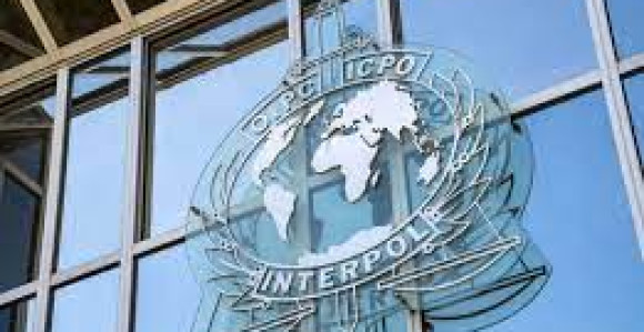 Interpol oduzeo oružje i drogu vrijednu 5,7 mlrd. $