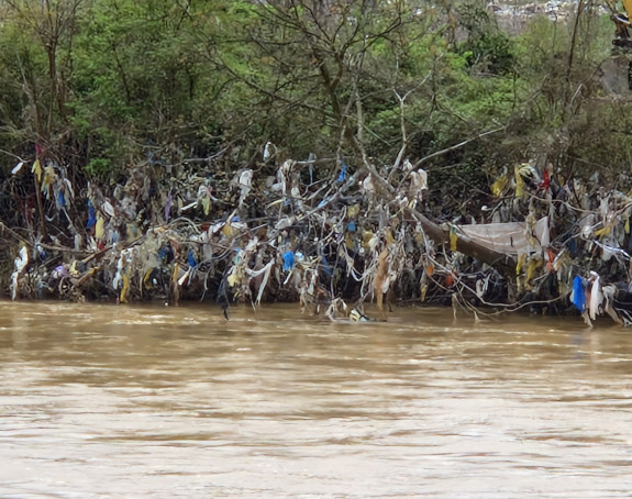 Apel Zvorničanina: Uradite nešto, ovo je sramota