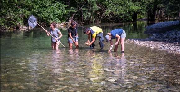 Zove se Neretva: Bogatiji smo za novog insekta