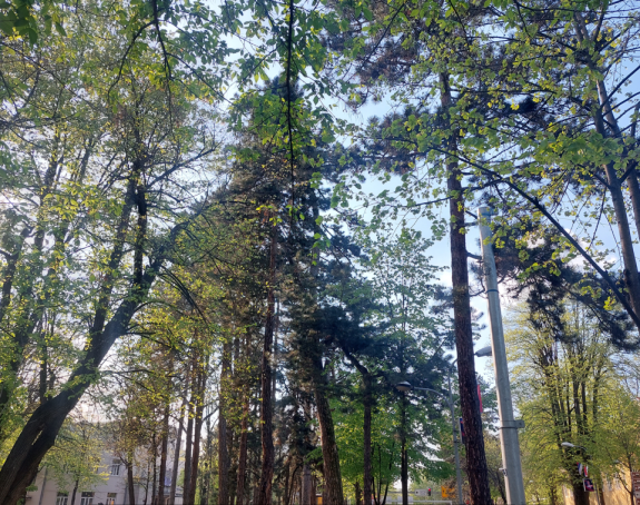 Данас у Српској претежно сунчано и топлије вријеме