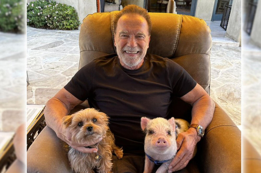 Švarceneger udomio prase!