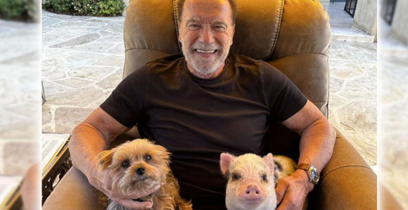 Švarceneger udomio prase!