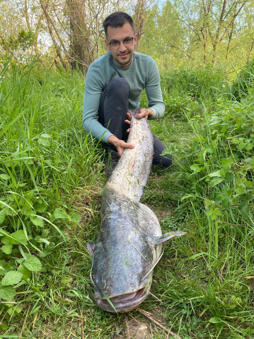 Očuvanje prirode najvažnije: Ulovio pa pustio soma