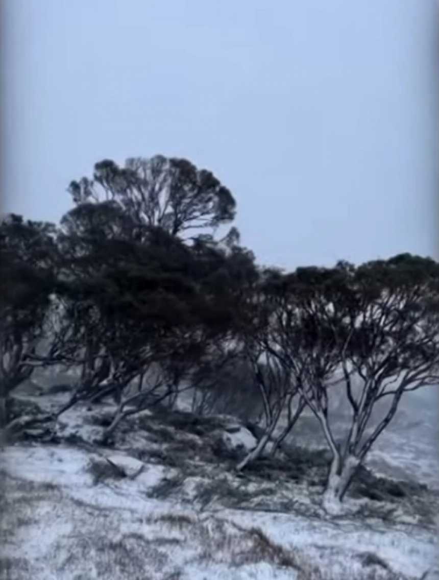 Snijeg pao kod Sidneja, letovi otkazani (VIDEO)