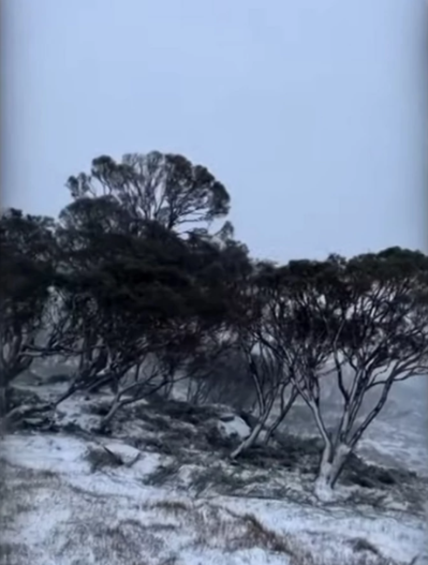 Snijeg pao kod Sidneja, letovi otkazani (VIDEO)