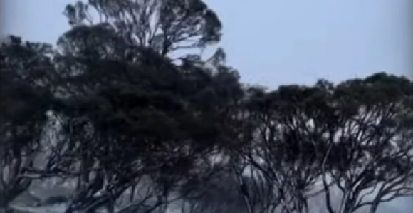 Snijeg pao kod Sidneja, letovi otkazani (VIDEO)