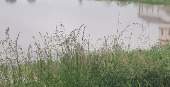 Sava i Vrbas izlile se iz korita u opštini Srbac