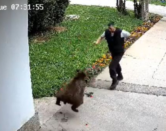 Bugojno: Medvjed napao muškarca, objavljen video