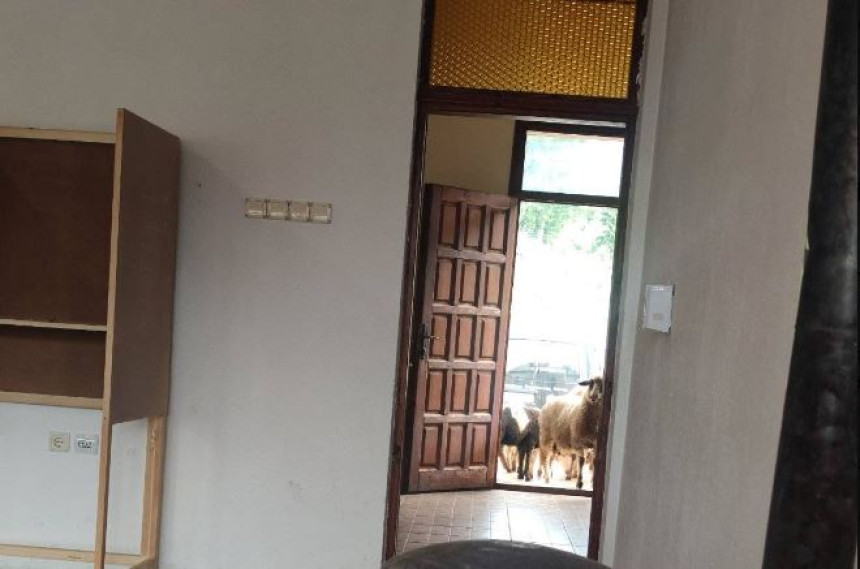 "Nenajavljeni gosti" na biračkom mjestu u CG (FOTO)