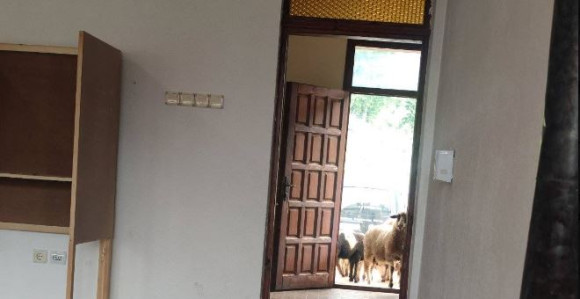 "Nenajavljeni gosti" na biračkom mjestu u CG (FOTO)